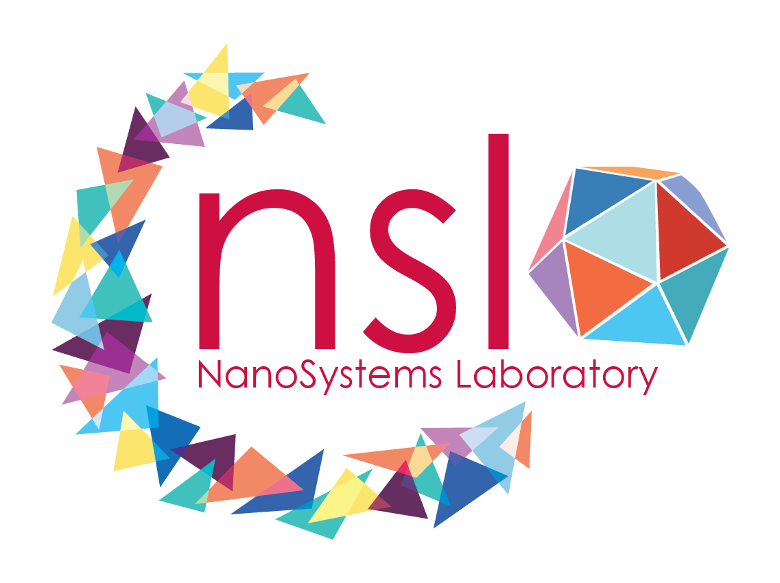 NSL Logo1_LQ_RGB-01